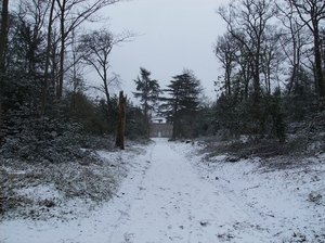 Overmere Februari 2013 025