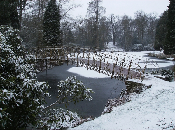 Overmere Februari 2013 031