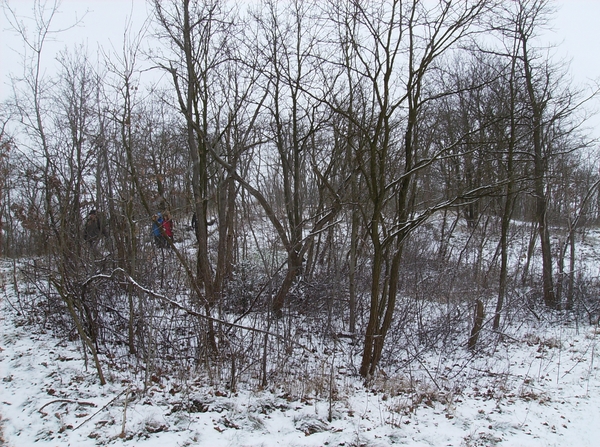 Overmere Februari 2013 035