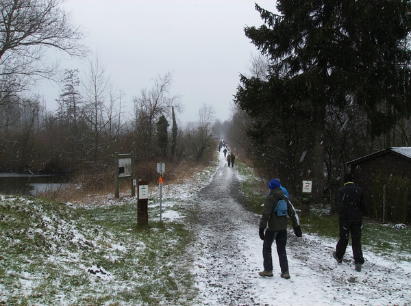 Overmere Februari 2013 043