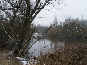 Overmere Februari 2013 044