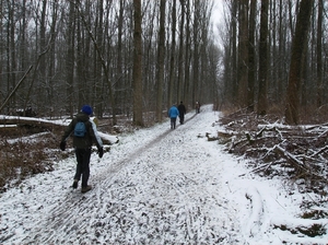 Overmere Februari 2013 046