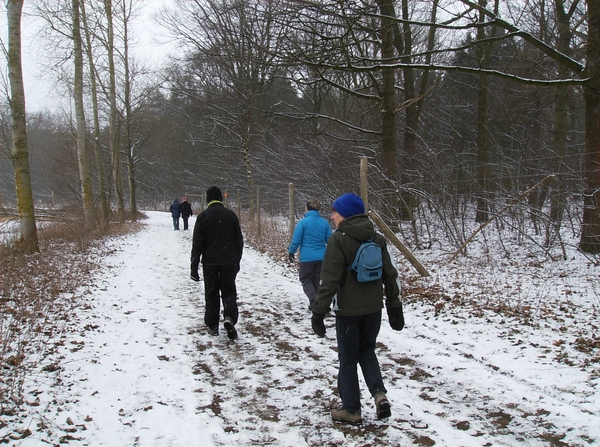 Overmere Februari 2013 049