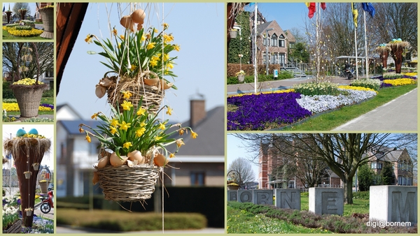 Bornem Gemeentehuis