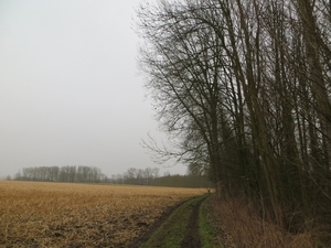 2013-02 27 Ophasselt 016