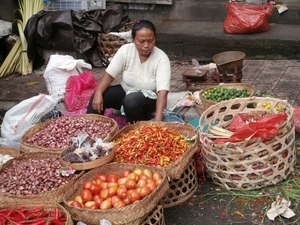 bali en lombok 017