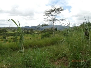 bali en lombok 035