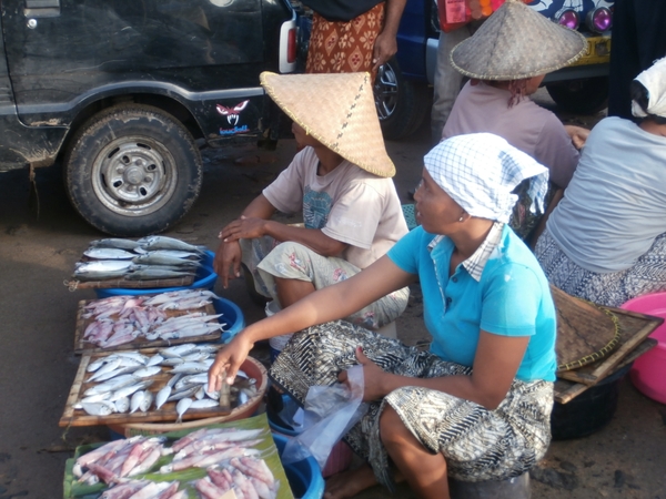 bali en lombok 091