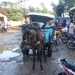 bali en lombok 092