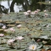 bali en lombok 1002