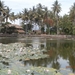 bali en lombok 1005