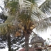 bali en lombok 1008