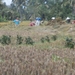 bali en lombok 125