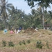 bali en lombok 126