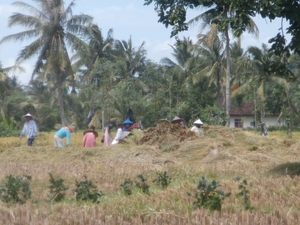 bali en lombok 126