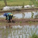 bali en lombok 127