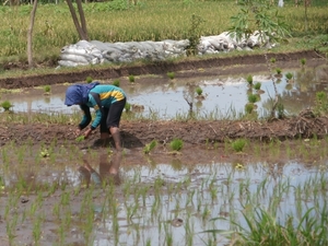 bali en lombok 127