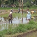 bali en lombok 128