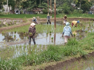 bali en lombok 128