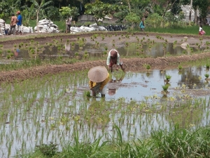 bali en lombok 130