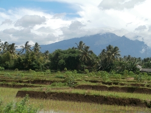 bali en lombok 131