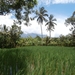 bali en lombok 132