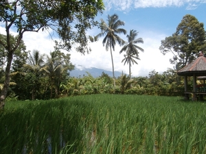 bali en lombok 132