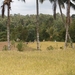 bali en lombok 136