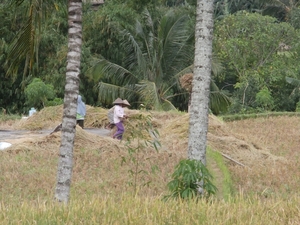 bali en lombok 137