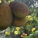 bali en lombok 143