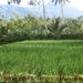 bali en lombok 147