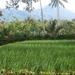 bali en lombok 148