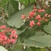 bali en lombok 149