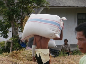 bali en lombok 187