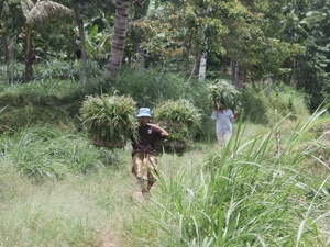 bali en lombok 201