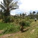bali en lombok 202