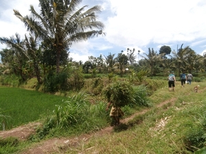 bali en lombok 202