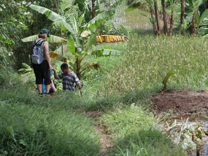 bali en lombok 210