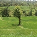 bali en lombok 213