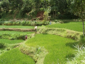 bali en lombok 214