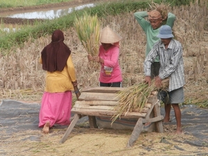 bali en lombok 220