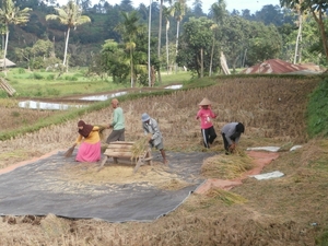 bali en lombok 221