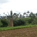 bali en lombok 222