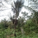 bali en lombok 223