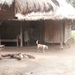 bali en lombok 232