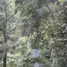 bali en lombok 245