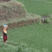 bali en lombok 255