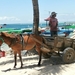 bali en lombok 316