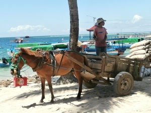 bali en lombok 316