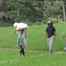 bali en lombok 362